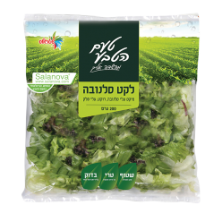 לקט סלנובה