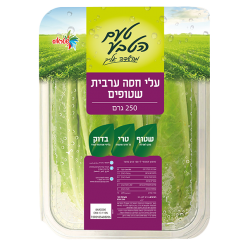 עלי חסה ערבית שטופים טעם הטבע