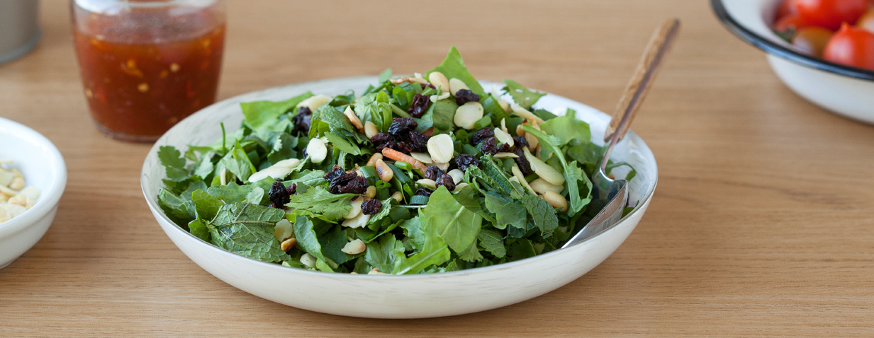 סלט עשבי תיבול עם שקדים קלויים ואוכמניות מיובשות